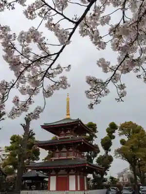 宝仙寺(東京都)