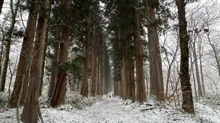 戸隠神社奥社(長野県)