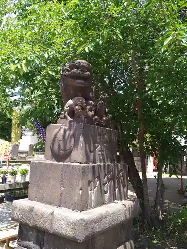 磐井神社の狛犬