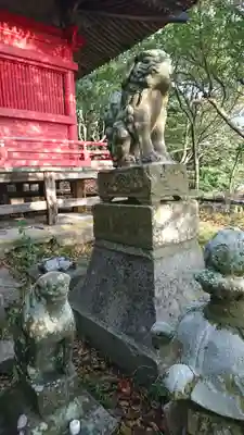 尾崎神社の狛犬