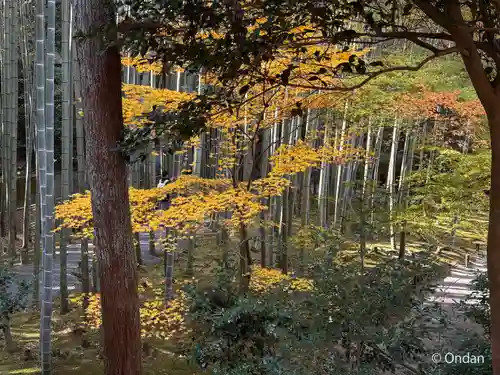 圓光寺(京都府)