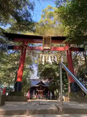 氷川女體神社の鳥居