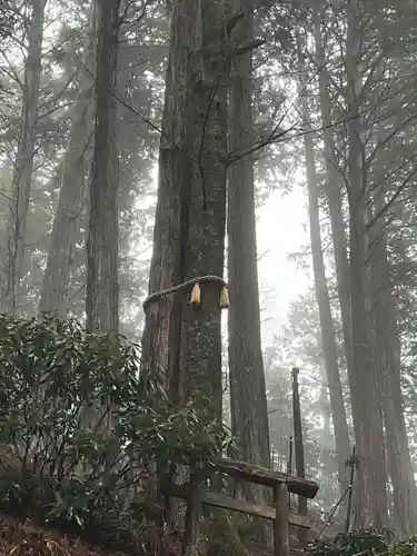 三峯神社(埼玉県)