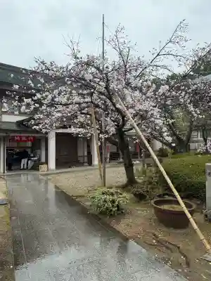 遍照院の{uncategorized: "未分類", other: "その他", undefined: "問題あり", building: "その他建物", grave: "お墓", sacred_gate: "鳥居", guardian: "狛犬", statue: "像", buddha: "仏像", history: "歴史", nature: "自然", garden: "庭園", animal: "動物", pagoda: "塔", temizu: "手水舎", mountain_gate: "山門・神門", sanctuary: "本殿・本堂", subordinate: "末社・摂社", art: "芸術", scenery: "景色", jizo: "地蔵", ema: "絵馬", goshuin: "御朱印", omikuji: "おみくじ", items: "授与品その他", amulet: "お守り", goshuincho: "御朱印帳", eats: "食事", festival: "お祭り", votive_dance: "神楽", shichigosan: "七五三参", wedding: "結婚式", experience: "体験その他", initially: "初詣", around: "周辺", anti_infection: "感染症対策"}