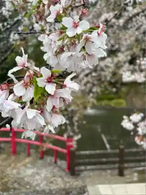 間々田八幡宮(栃木県)