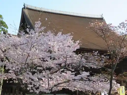 園城寺（三井寺）の建物その他