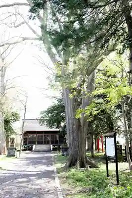 志文神社(北海道)