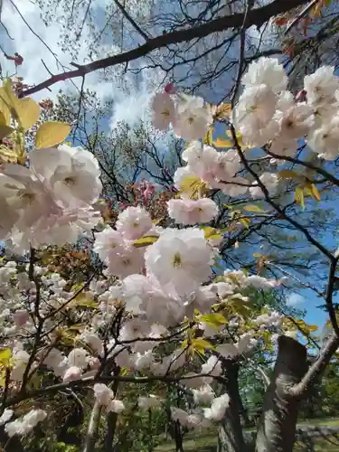 厚別神社(北海道)