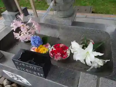 新川皇大神社の手水舎