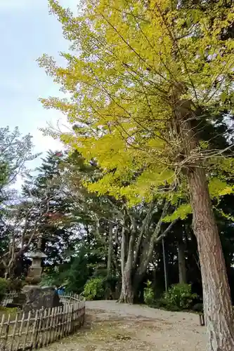 法海寺の庭園