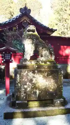 箱根神社の狛犬