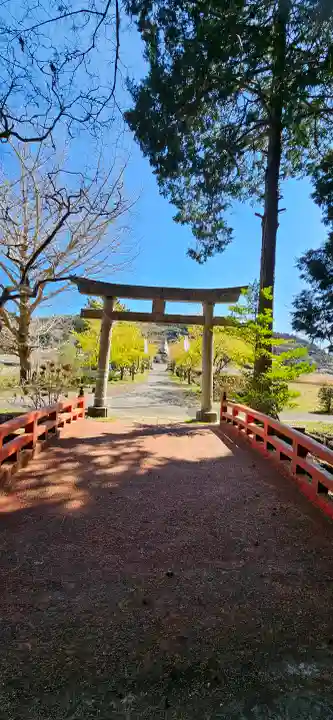 春日神社の{uncategorized: "未分類", other: "その他", undefined: "問題あり", building: "その他建物", grave: "お墓", sacred_gate: "鳥居", guardian: "狛犬", statue: "像", buddha: "仏像", history: "歴史", nature: "自然", garden: "庭園", animal: "動物", pagoda: "塔", temizu: "手水舎", mountain_gate: "山門・神門", sanctuary: "本殿・本堂", subordinate: "末社・摂社", art: "芸術", scenery: "景色", jizo: "地蔵", ema: "絵馬", goshuin: "御朱印", omikuji: "おみくじ", items: "授与品その他", amulet: "お守り", goshuincho: "御朱印帳", eats: "食事", festival: "お祭り", votive_dance: "神楽", shichigosan: "七五三参", wedding: "結婚式", experience: "体験その他", initially: "初詣", around: "周辺", anti_infection: "感染症対策"}