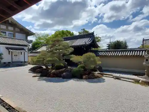 観智院（東寺子院）の庭園