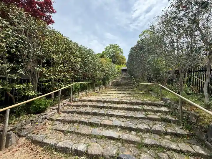 白毫寺の{uncategorized: "未分類", other: "その他", undefined: "問題あり", building: "その他建物", grave: "お墓", sacred_gate: "鳥居", guardian: "狛犬", statue: "像", buddha: "仏像", history: "歴史", nature: "自然", garden: "庭園", animal: "動物", pagoda: "塔", temizu: "手水舎", mountain_gate: "山門・神門", sanctuary: "本殿・本堂", subordinate: "末社・摂社", art: "芸術", scenery: "景色", jizo: "地蔵", ema: "絵馬", goshuin: "御朱印", omikuji: "おみくじ", items: "授与品その他", amulet: "お守り", goshuincho: "御朱印帳", eats: "食事", festival: "お祭り", votive_dance: "神楽", shichigosan: "七五三参", wedding: "結婚式", experience: "体験その他", initially: "初詣", around: "周辺", anti_infection: "感染症対策"}