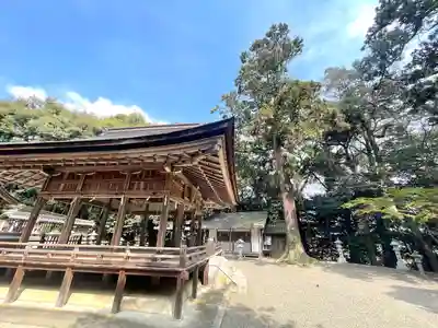 杉之木神社(滋賀県)
