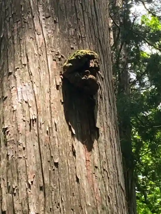 戸隠神社九頭龍社(長野県)