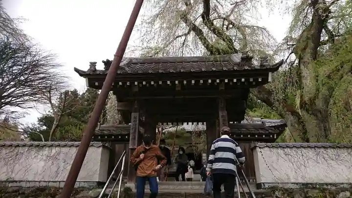 清雲寺の山門・神門