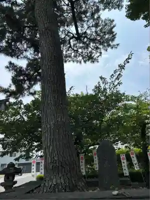 鹿苑神社(静岡県)