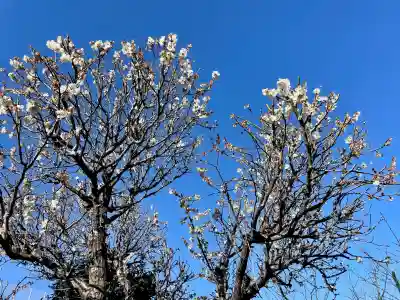 瑞泰寺の{uncategorized: "未分類", other: "その他", undefined: "問題あり", building: "その他建物", grave: "お墓", sacred_gate: "鳥居", guardian: "狛犬", statue: "像", buddha: "仏像", history: "歴史", nature: "自然", garden: "庭園", animal: "動物", pagoda: "塔", temizu: "手水舎", mountain_gate: "山門・神門", sanctuary: "本殿・本堂", subordinate: "末社・摂社", art: "芸術", scenery: "景色", jizo: "地蔵", ema: "絵馬", goshuin: "御朱印", omikuji: "おみくじ", items: "授与品その他", amulet: "お守り", goshuincho: "御朱印帳", eats: "食事", festival: "お祭り", votive_dance: "神楽", shichigosan: "七五三参", wedding: "結婚式", experience: "体験その他", initially: "初詣", around: "周辺", anti_infection: "感染症対策"}