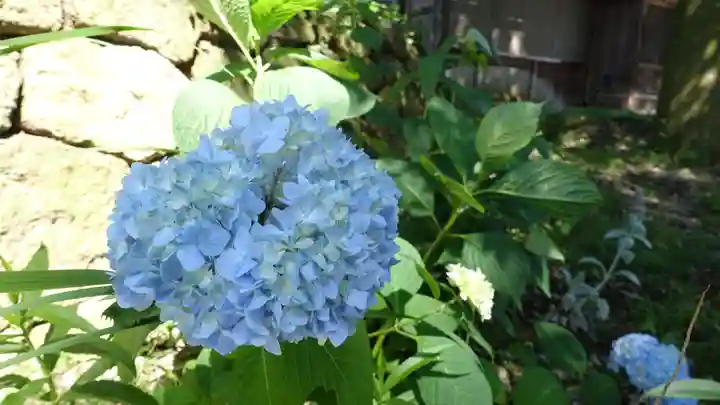 長谷神社 下社の自然