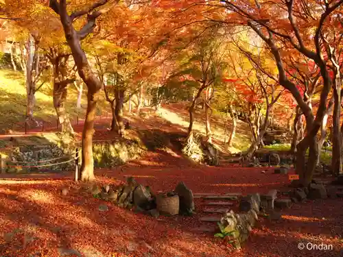 光明寺瑠璃光院(京都府)