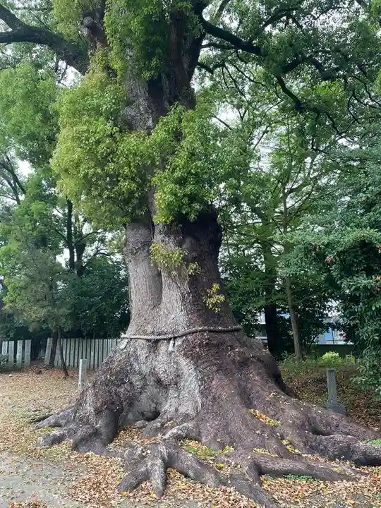 高良神社(香川県)