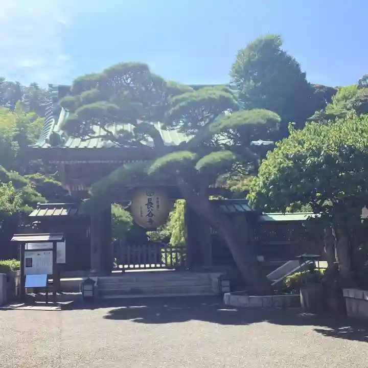 長谷寺の山門・神門