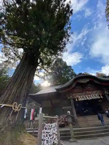 北口本宮冨士浅間神社の本殿