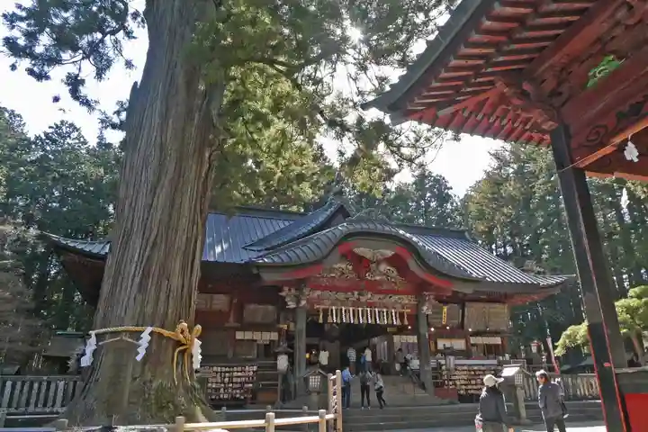 北口本宮冨士浅間神社(山梨県)