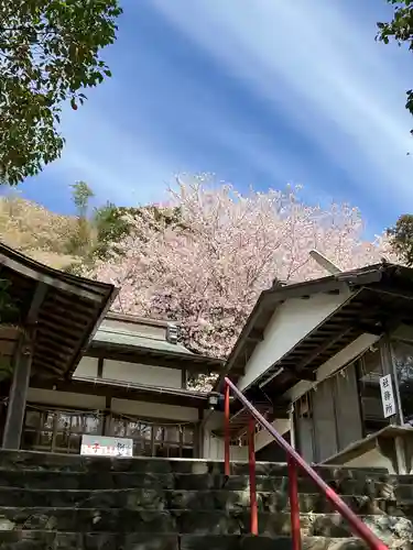 大山祇神社の建物その他