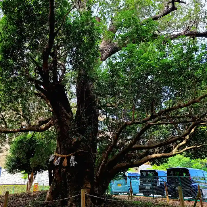 天御子神社(静岡県)
