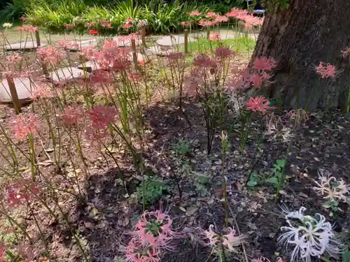 横浜　西方寺の自然