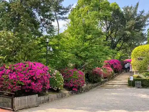 唐招提寺の庭園