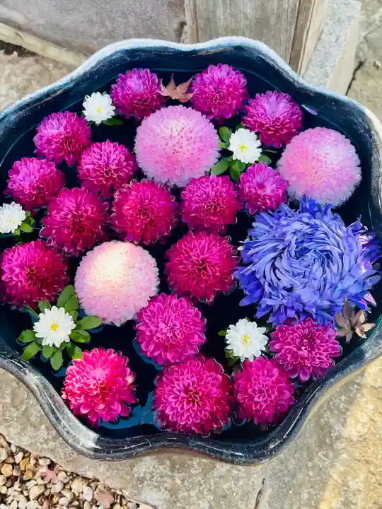 法輪寺(東京都)