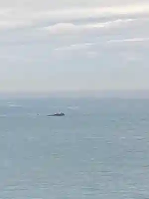 沖之御前地之御前遥拝所(島根県)