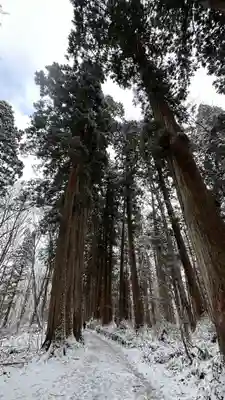 戸隠神社九頭龍社(長野県)