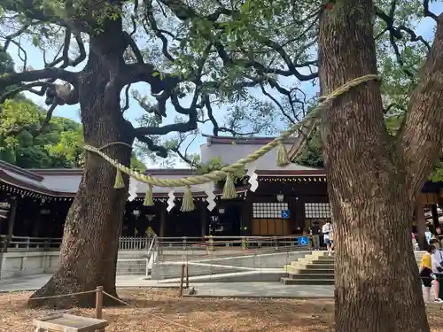明治神宮(東京都)