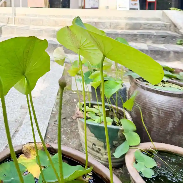 伊勢の国 四天王寺(三重県)