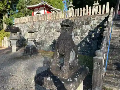 春日神社の狛犬