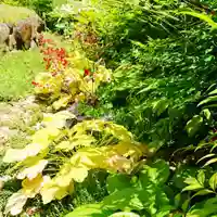 寿量山 速成寺の自然