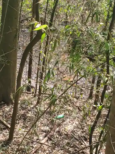 お姫様神社(栃木県)