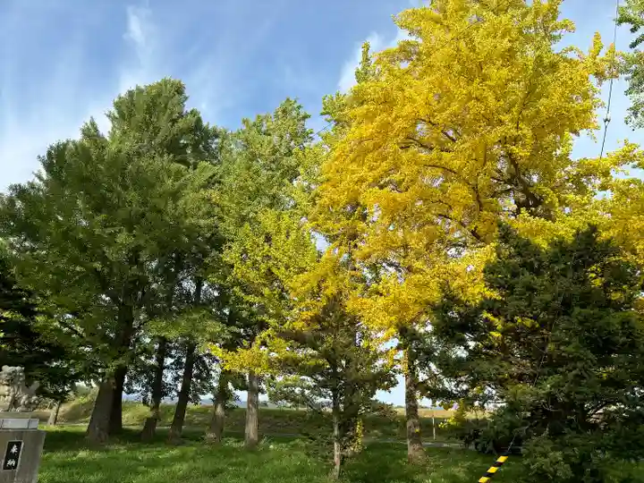 沖里河神社(北海道)