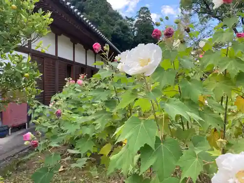 橘寺の庭園