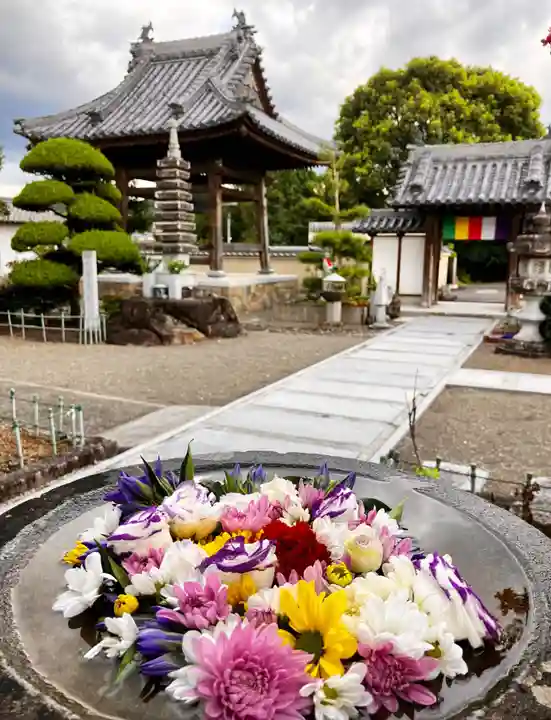 真言宗 善通寺派 薬王寺(香川県)