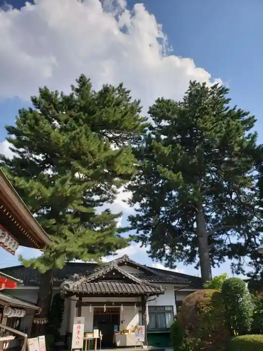 中野沼袋氷川神社(東京都)