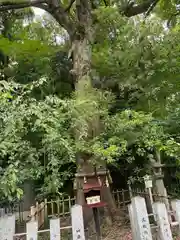 富部神社(愛知県)