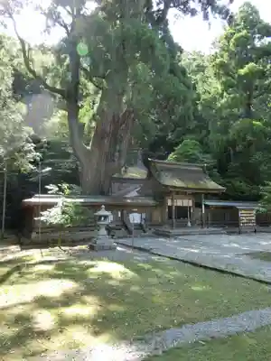 若狭姫神社（若狭彦神社下社）(福井県)