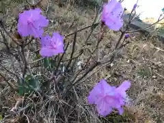 大生郷天満宮の自然