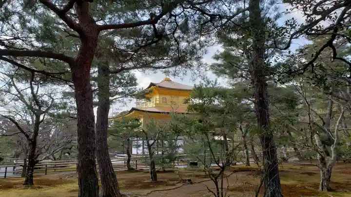 鹿苑寺(金閣寺)の庭園