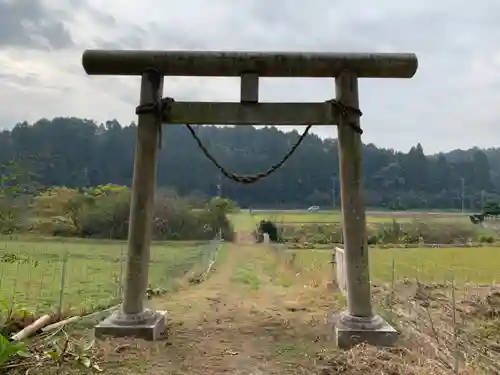 日枝神社の鳥居